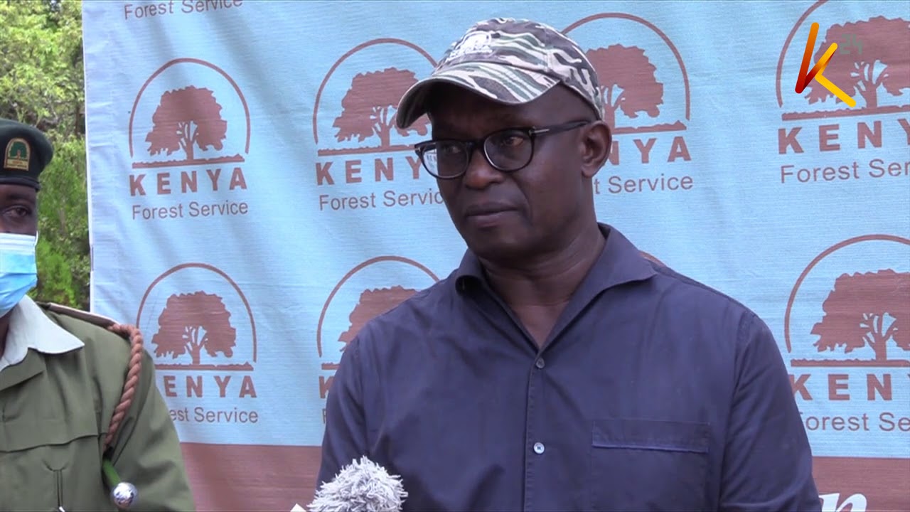 Kenya Forest Service looking to recruit more than 3000 employees