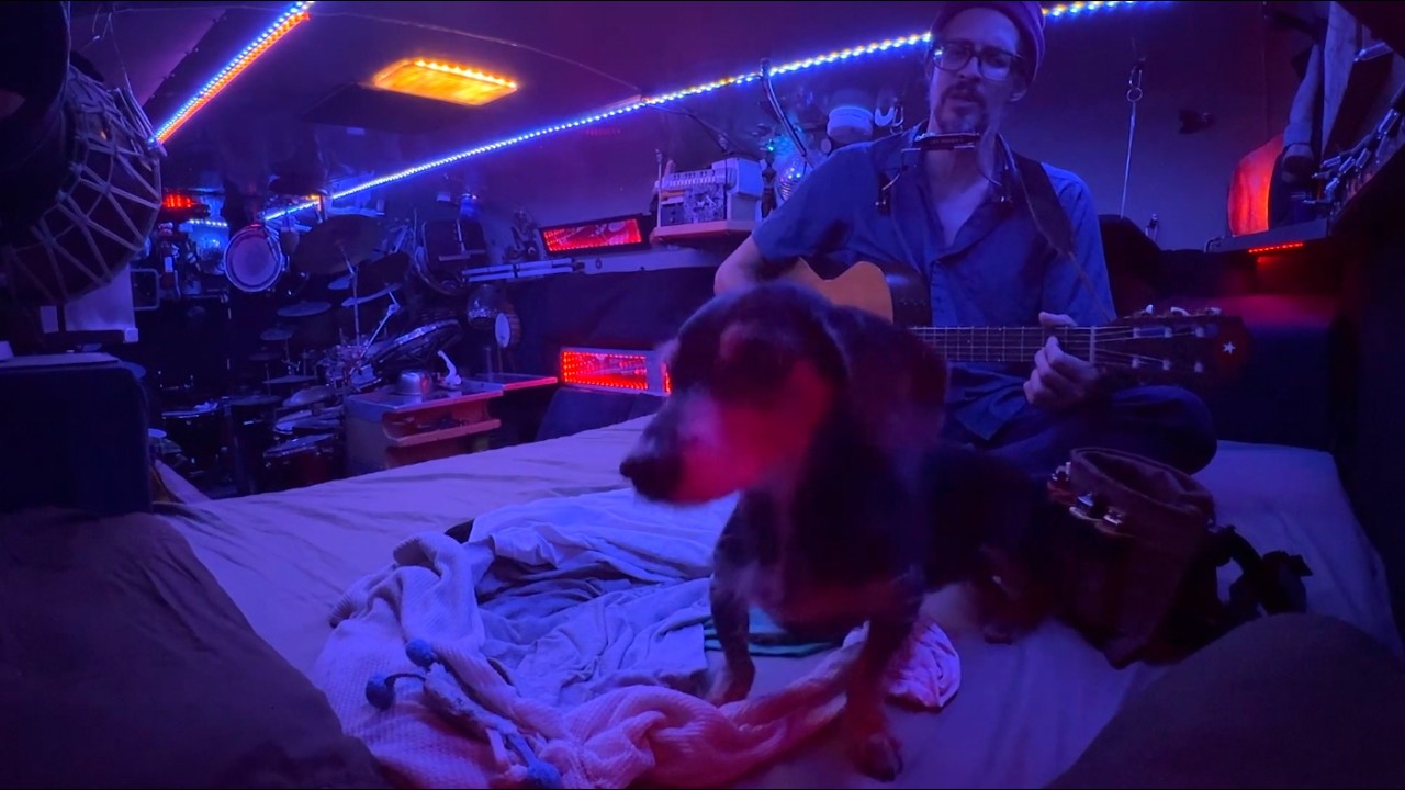 bed-eye veshel - PNOSA - LIVE IN THE SILVERBUS