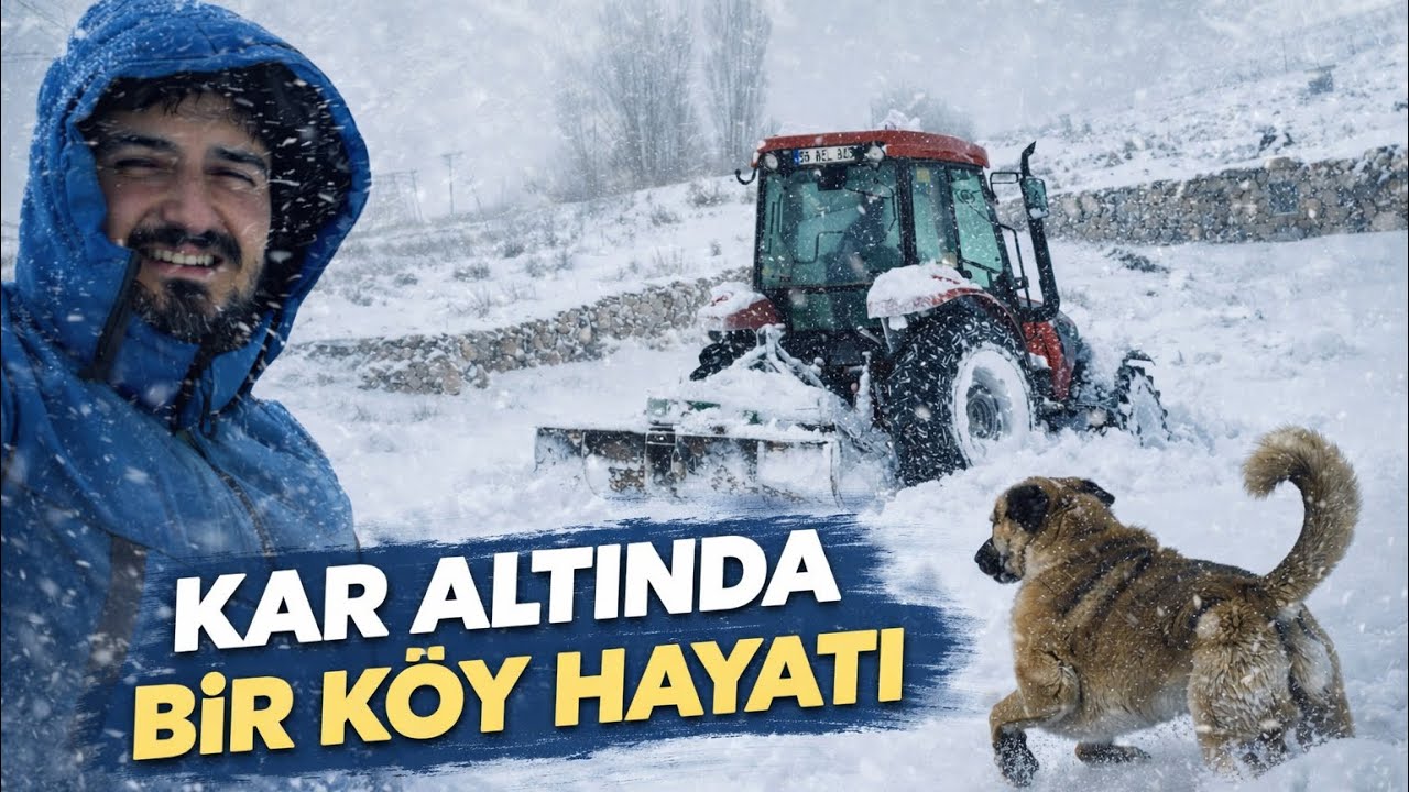 DONDUK/TAVUKLAR MAHSUR KALDI🥶