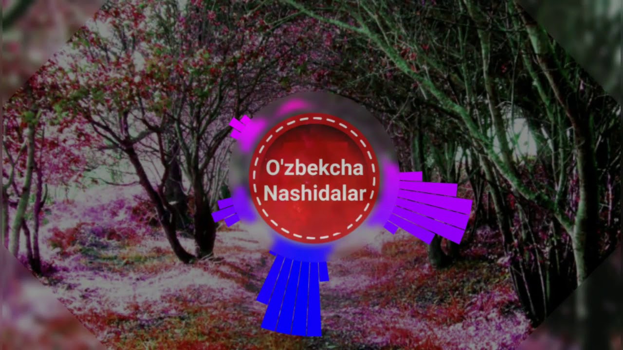 o'zbekcha nashida | nega yig'lamaysan