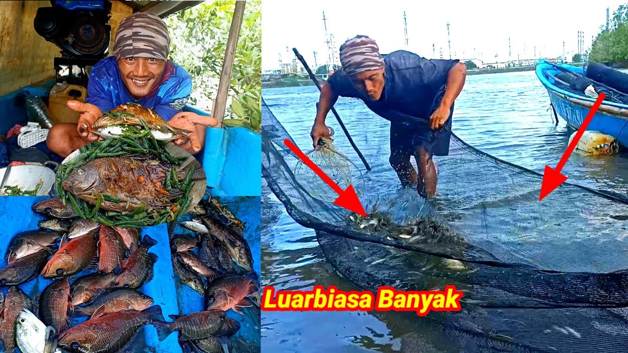 Pasang Perangkap Dapat Banyak Kakap Merah Langsung Masak Ikan Bakar Tumis Kacang