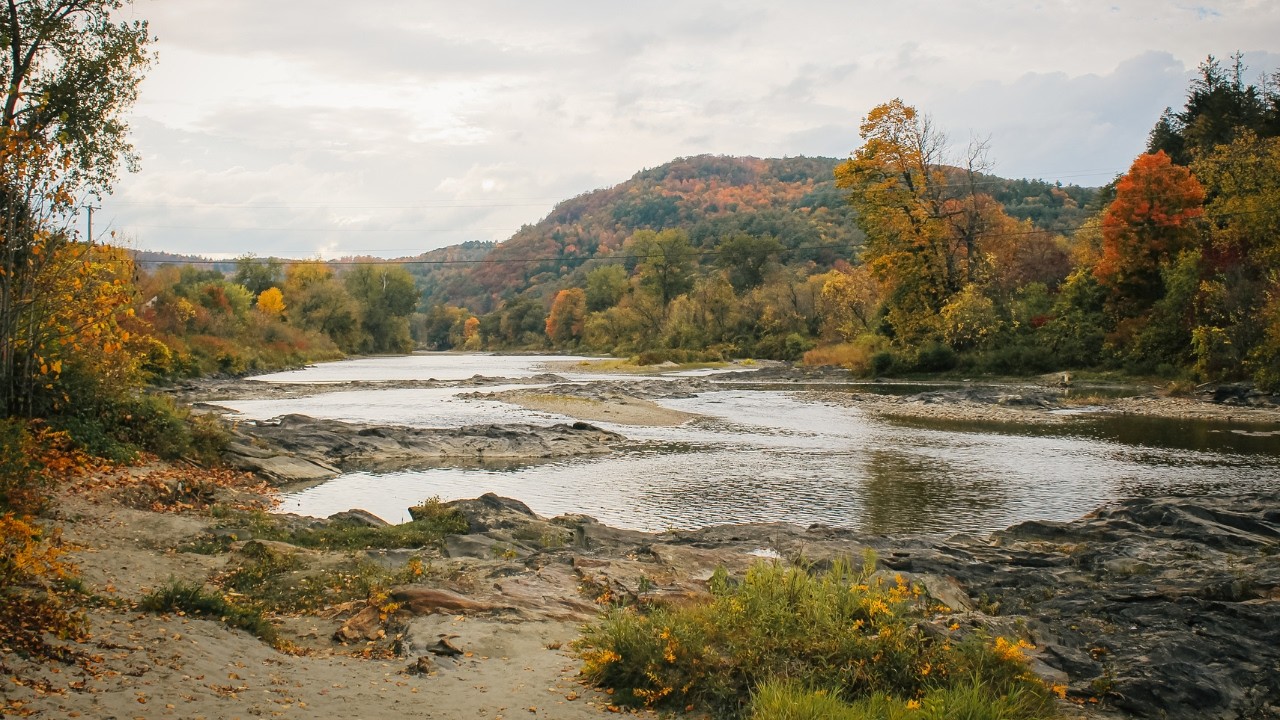 The Current Landscape of Environmental Justice with Professor Lindi von Mutius JD'08