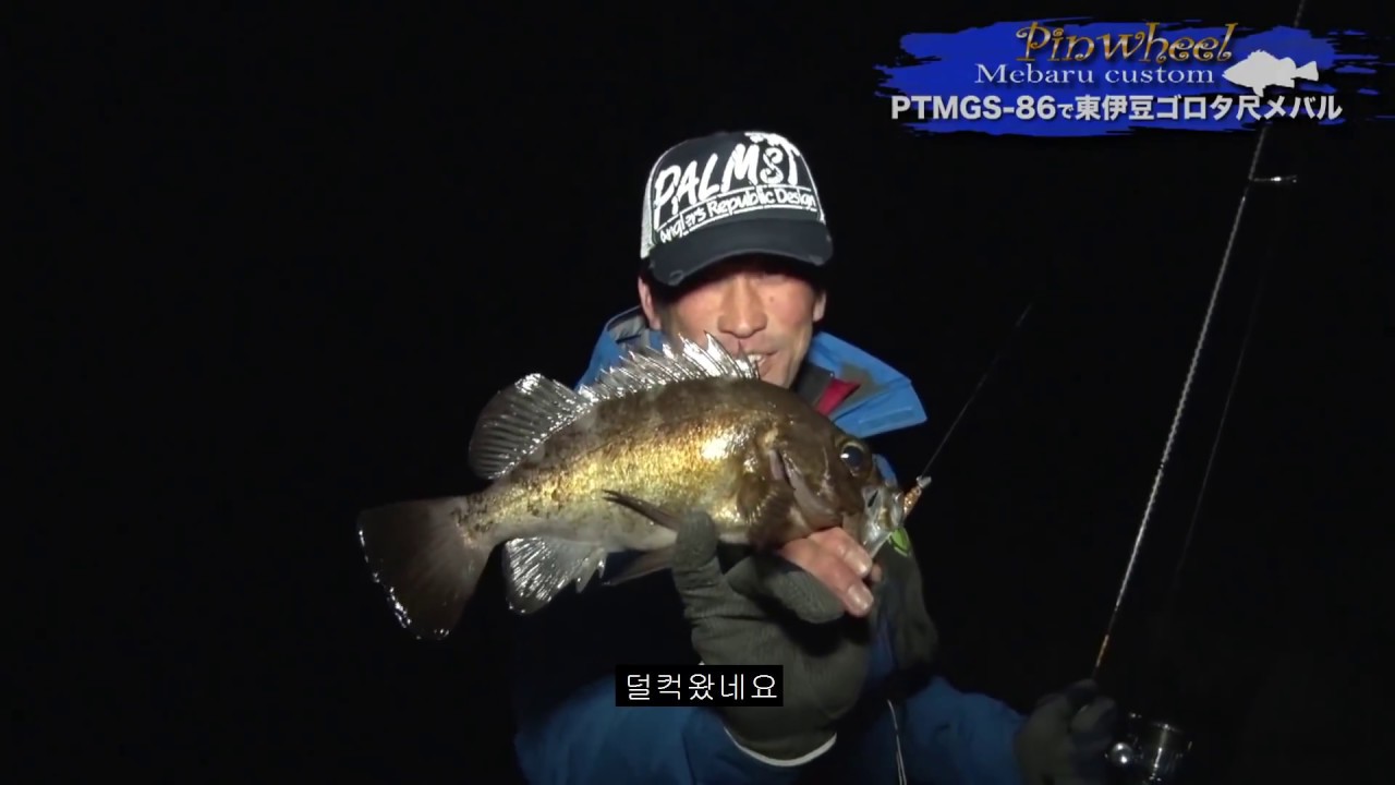 팜스, PINWHEEL 메바루 커스텀, 대물 볼락 실조영상! - 히로카즈 코마치