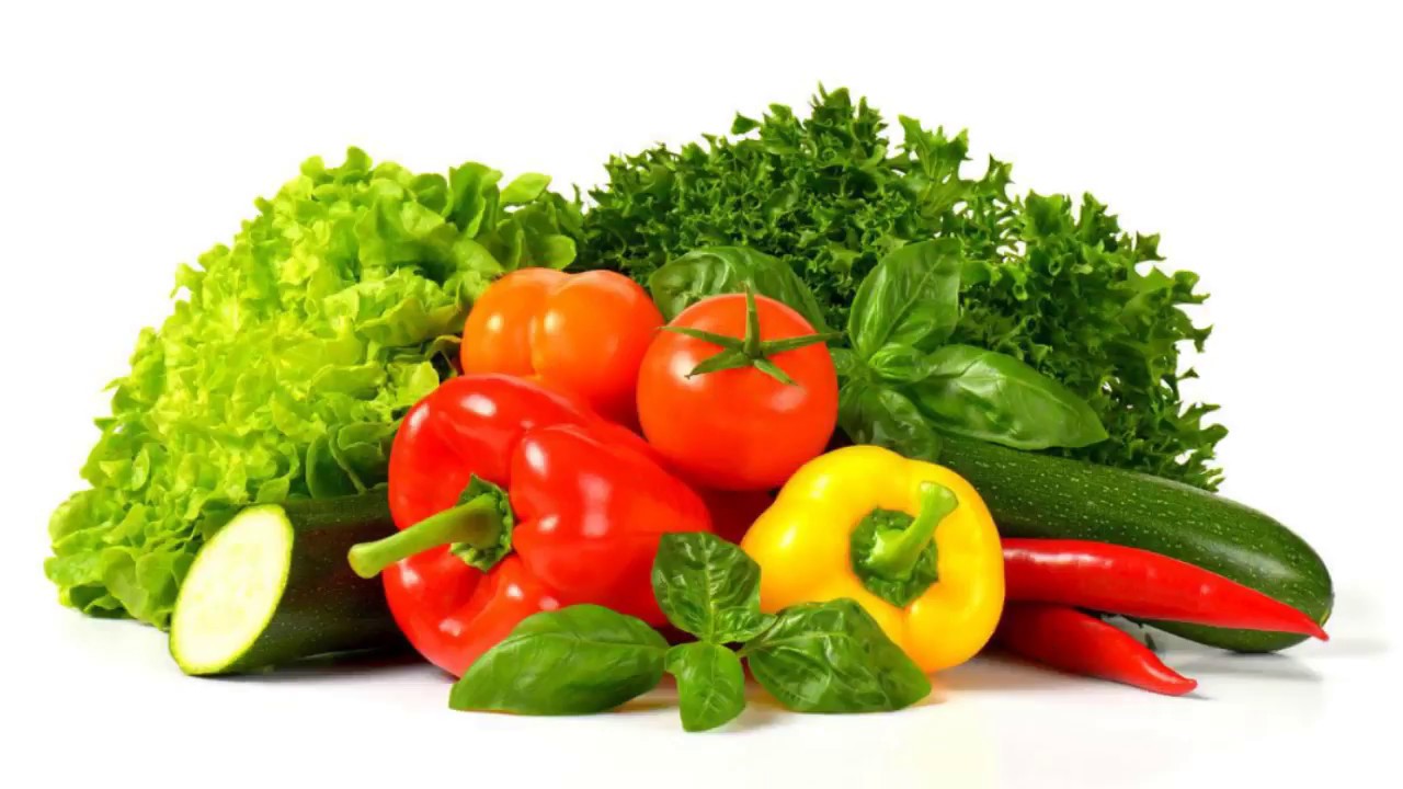 Hydrophonic Farming -The Future of food production
