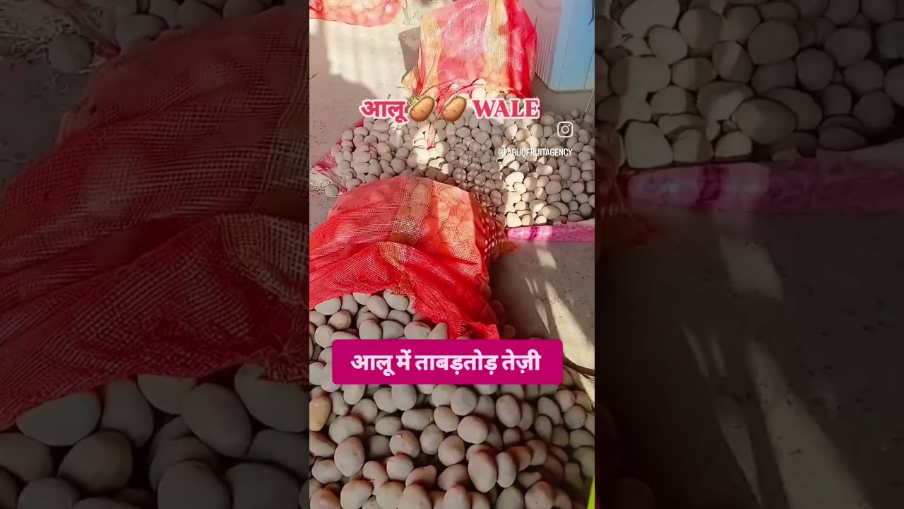 आलू 🥔 🥔 WALE #potato #aloo #potatomarket #news #viral #shorts #viralshorts #viralvideo #mandinews