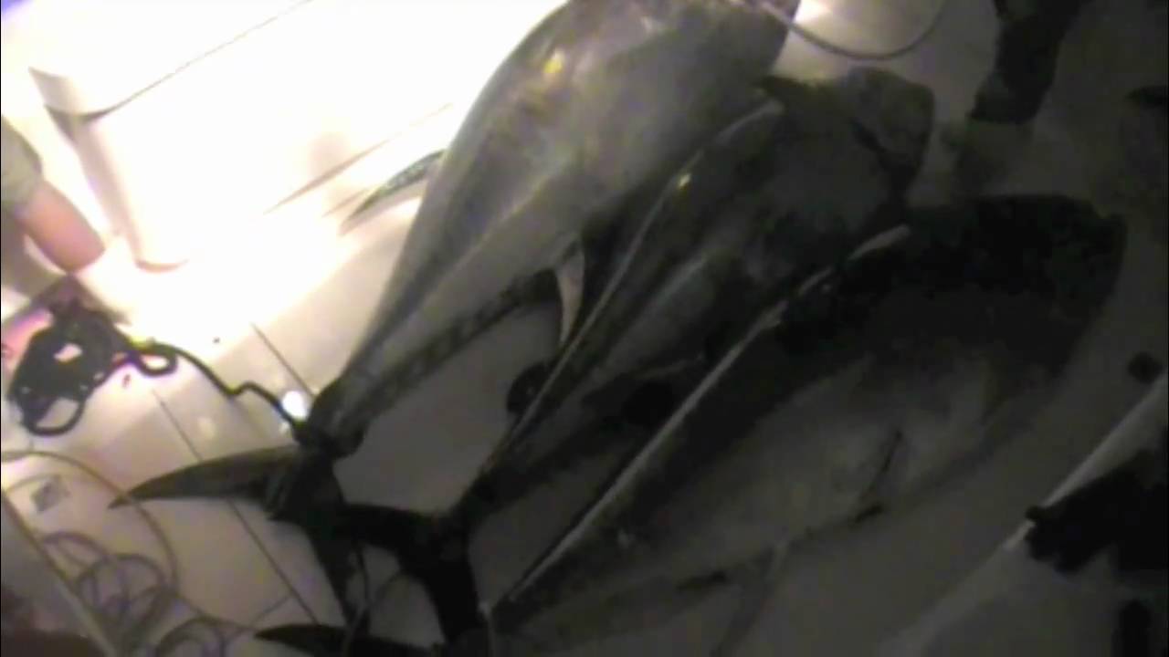 Tunacious, George's Bank