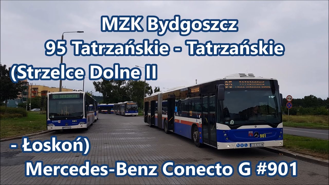 MZK Bydgoszcz - Mercedes-Benz Conecto G #901, linia 95