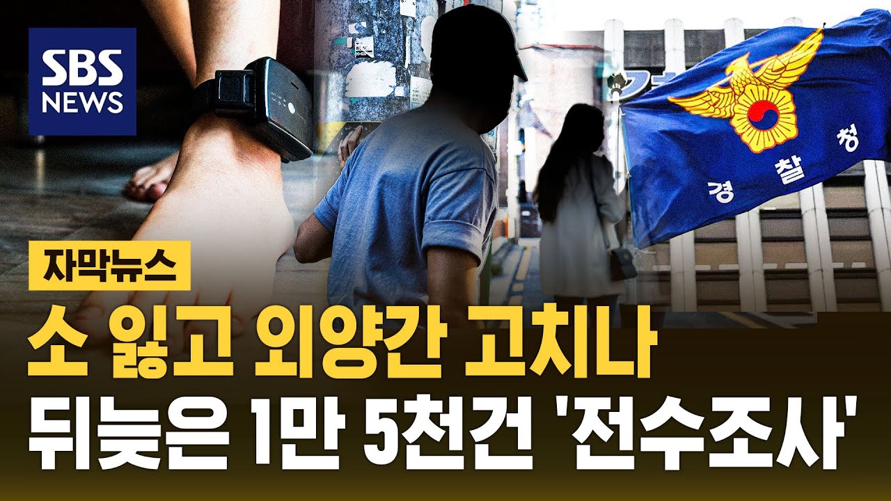 스토킹 살인 후 이제야&hellip;경찰, 관계성 범죄 1만 5천 건 전수조사 (자막뉴스) / SBS