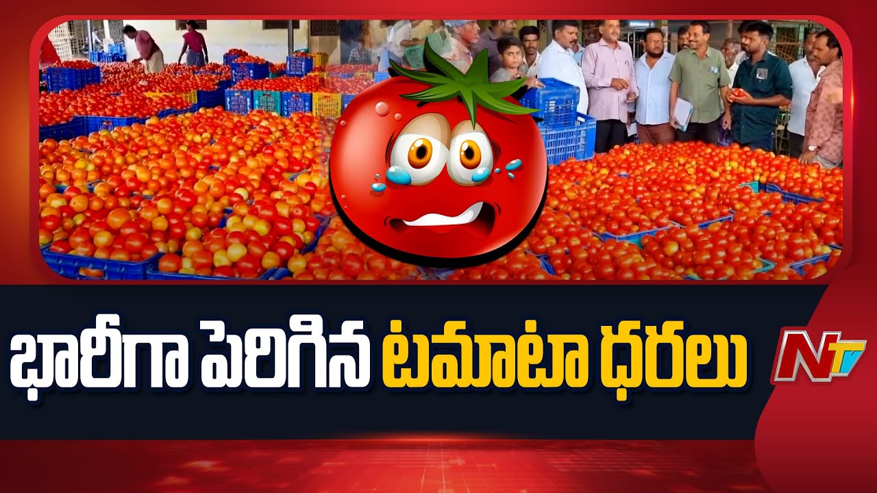 భారీగా పెరిగిన టమాటా ధరలు | Tomato Prices Increased | Vegetables | NTV Telugu
