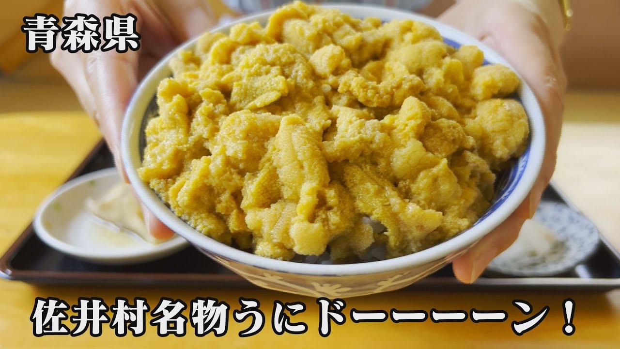 【女子旅】牛滝漁港から行く仏ヶ浦とぬいどう食堂の名物うにドーーーーーーーーーン！！【佐井村】