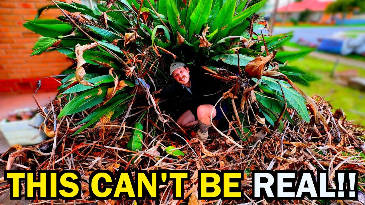 She Couldn’t Walk And Needed URGENT Help – What I Found SHOCKED Me!