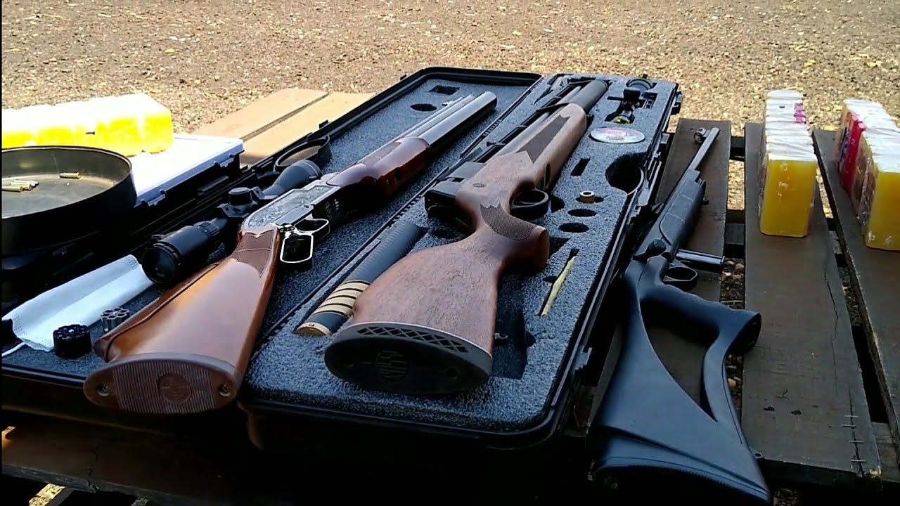 Teste Sumatra x R8 x .22 LR