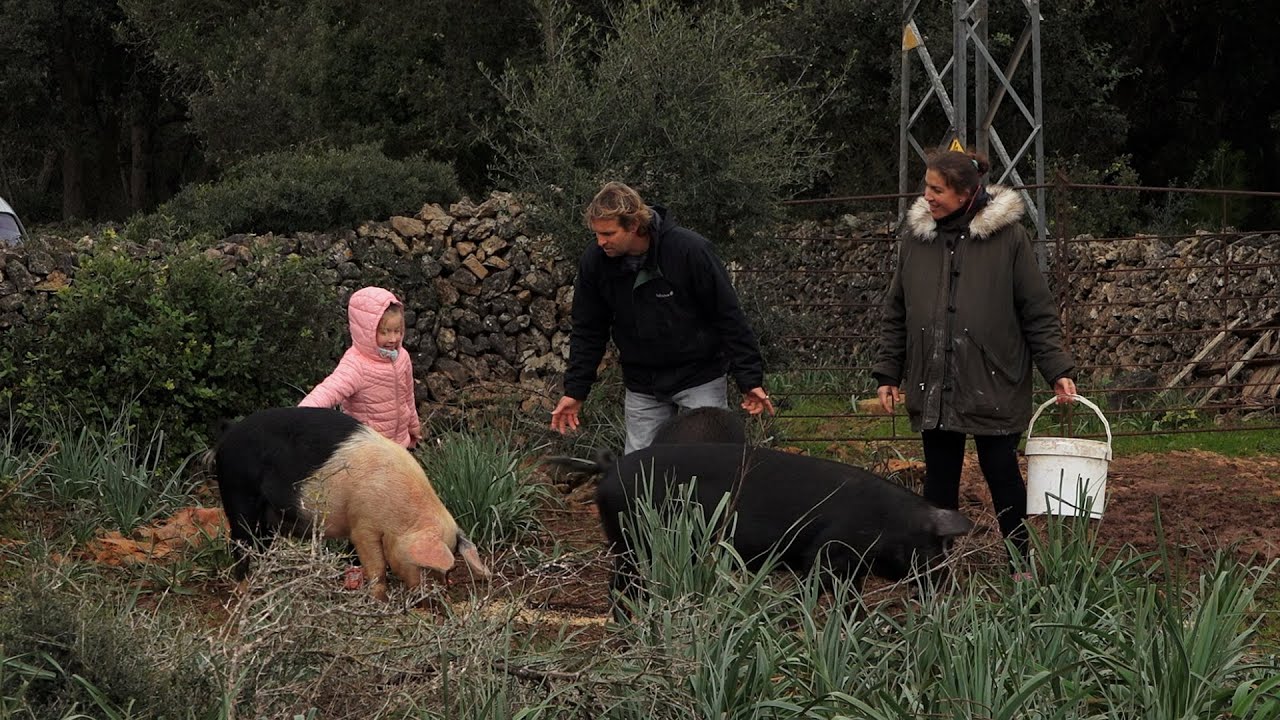 UEP! COM ANAM? [592] - BODEGA CENTENÀRIA, FAMÍLIA MENORQUINA PAGESA I TÈCNIQUES FISIOTERÀPIA EQUINA.