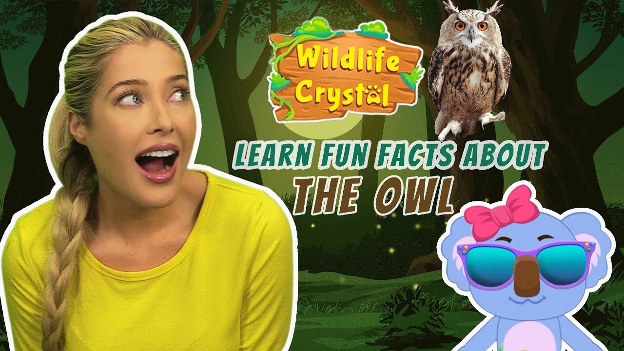 Owl Facts