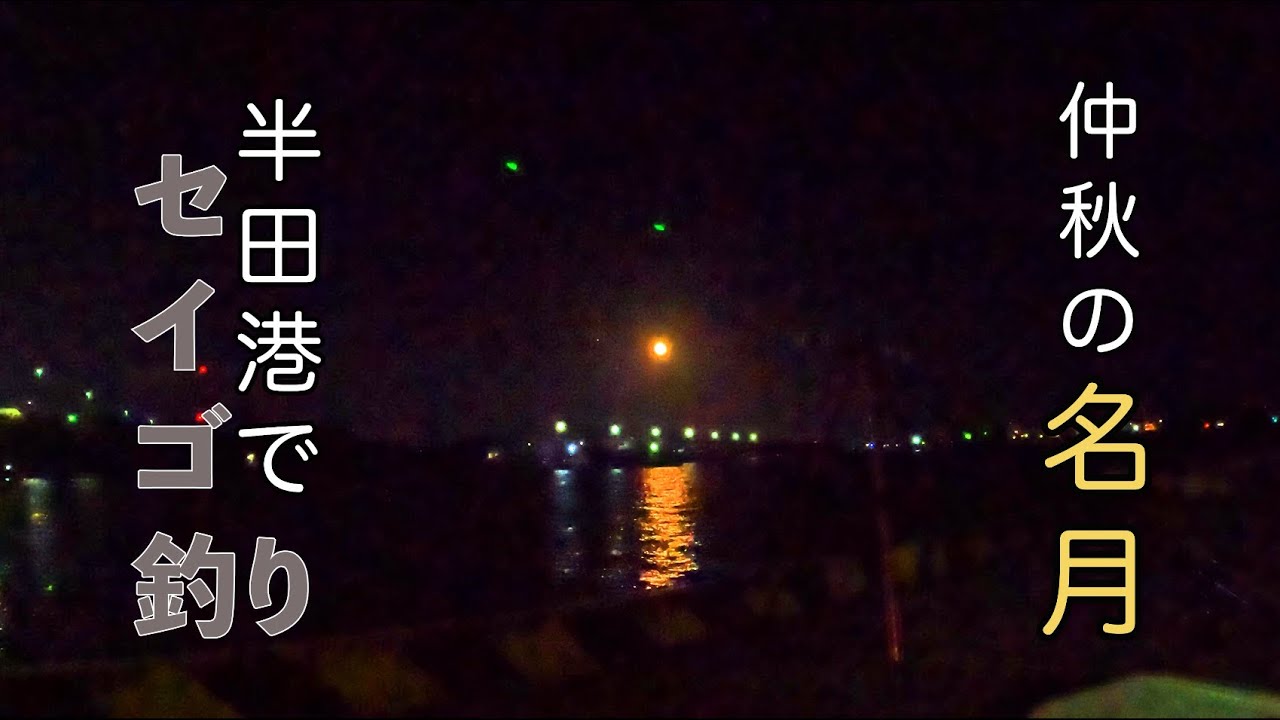 続・半田港で釣りしてみた【釣り場紹介という名の弾劾】