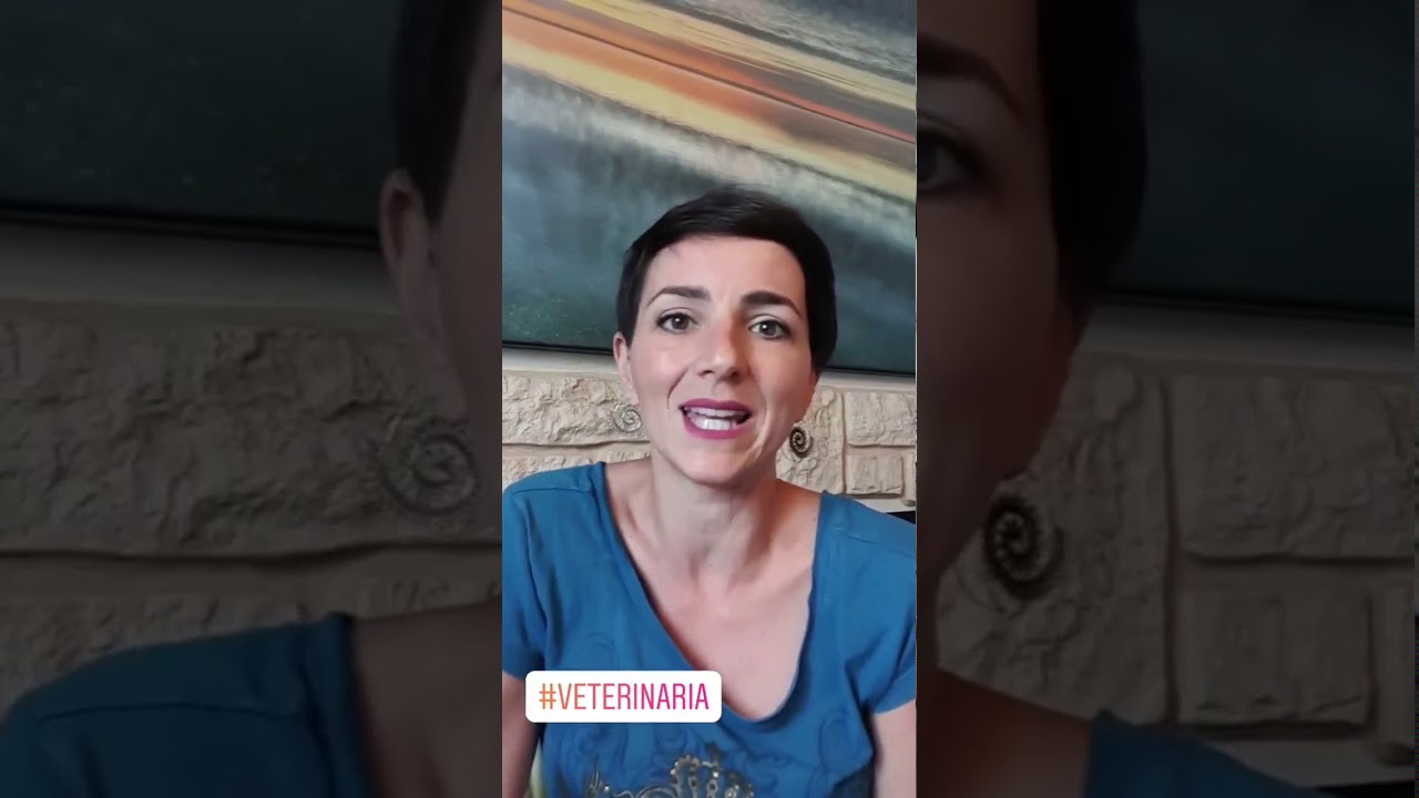 Convivenza cane e gatto: come fare?