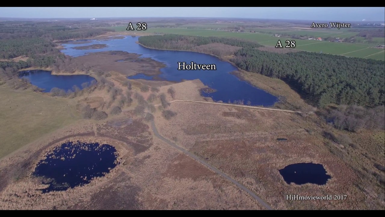 Dwingelderveld