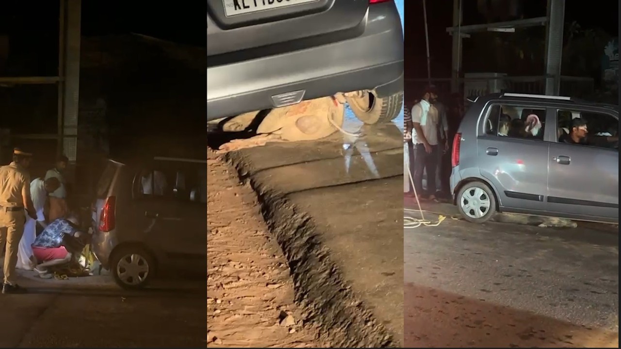 നാദാപുരത്ത് കാട്ടുപന്നി കാറിനടിയിൽ കുടുങ്ങി; പുറത്തിറങ്ങാനാകാതെ കുടുംബം വാഹനത്തിനുള്ളിലായി