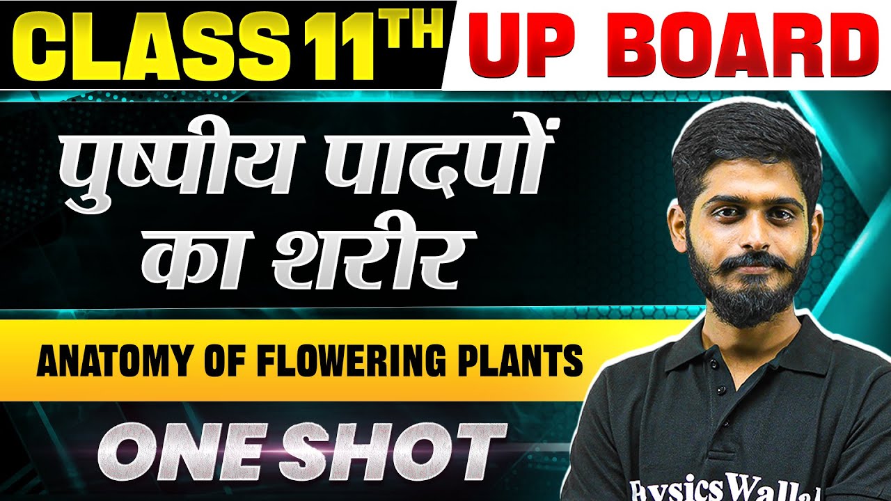 Class 11 Biology Chapter 6 - पुष्पीय पादपों का शरीर (Anatomy of Flowering Plants) | One shot