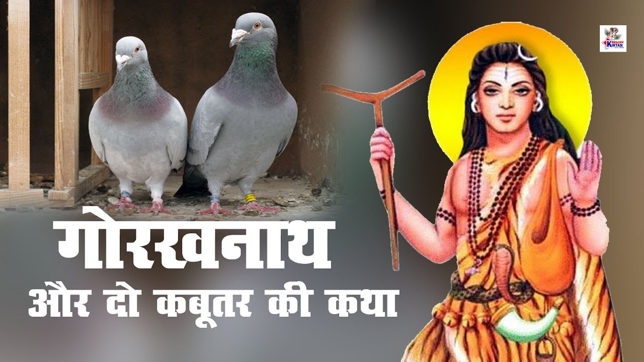 गोरखनाथ और दो कबूतर की कथा || गोरखनाथ का चमत्कार || गोरखनाथ की डब्बी || Latest Short Film 2020