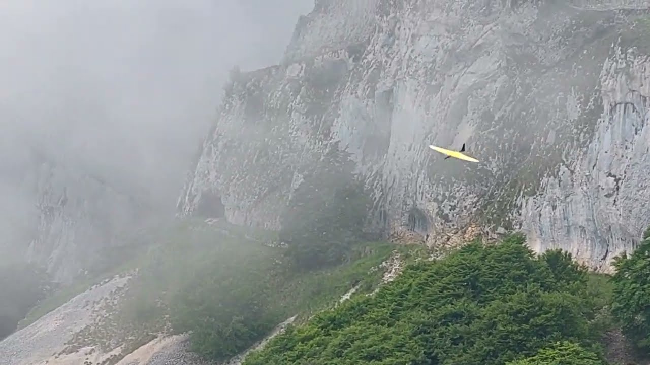 Curst, Hangflug Polsa 2024