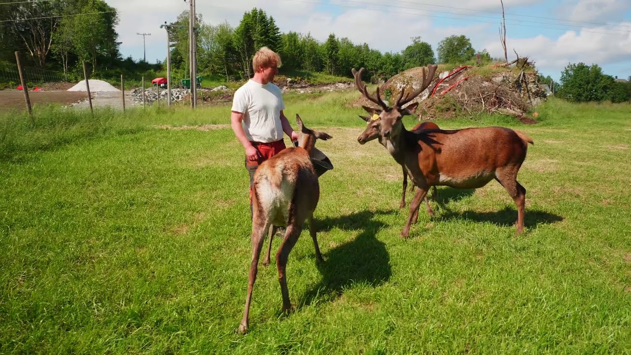 Jordmassar fra problem til ressurs: Gode døme fra Nordhordland