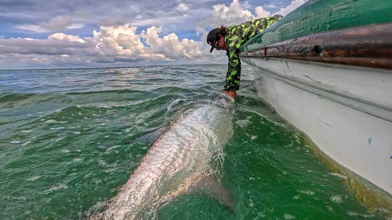 LA MEJOR PESCA DE MI VIDA! | S&aacute;balos Gigantes en Costa Rica!