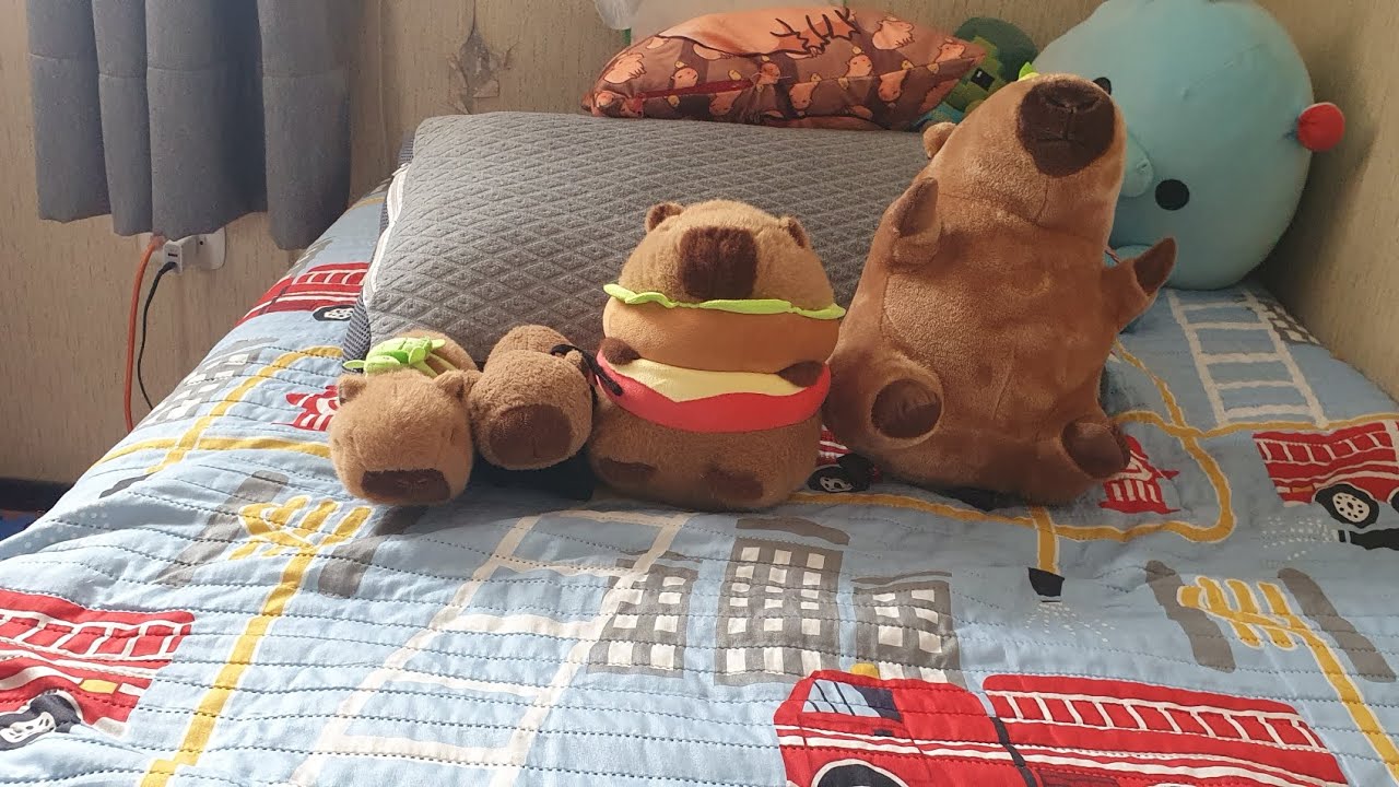 cómo cuidar a tu capibara parte4