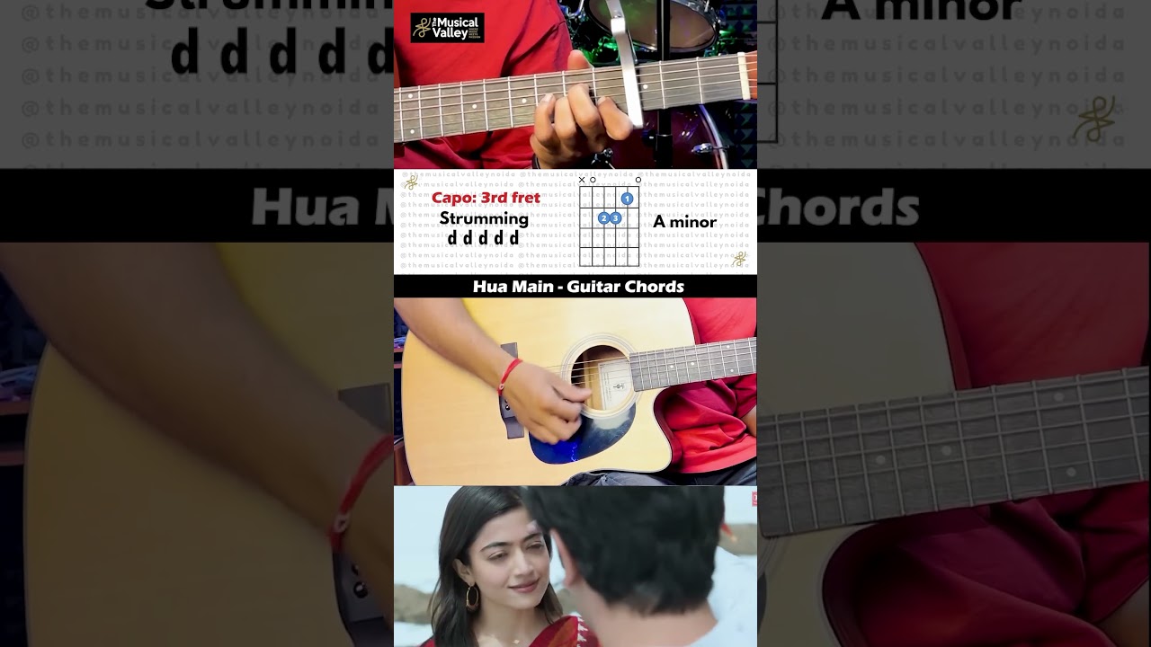 Hua Main | Animal | Arijit Singh | Guitar Chords | The Musical Valley
