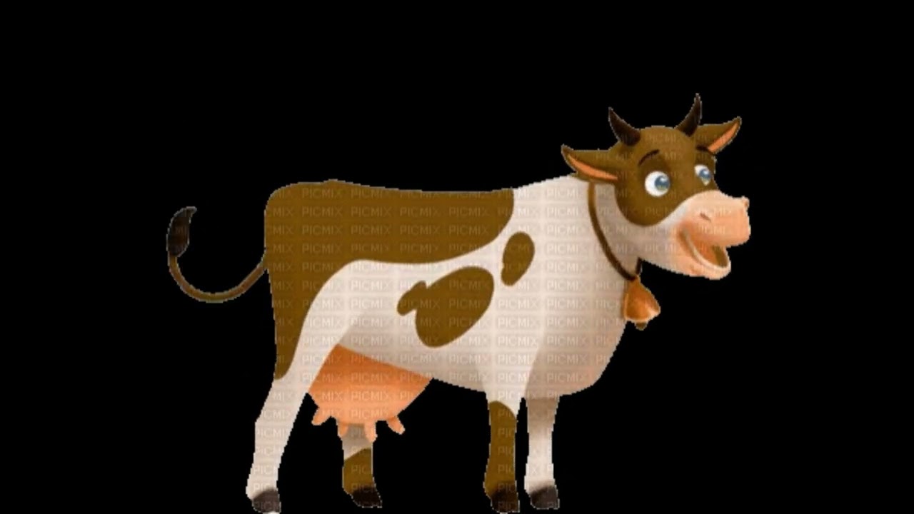 Cow Moo