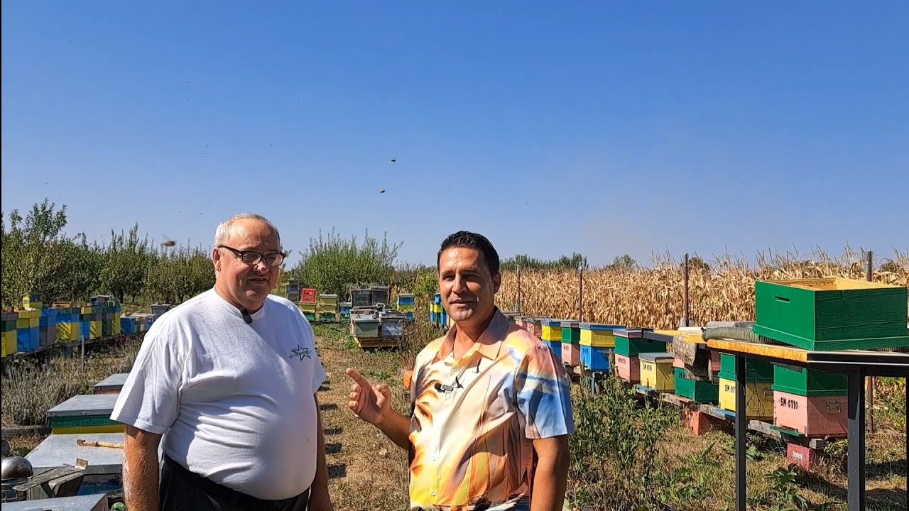 În stupina prietenului,Doru Vida 🐝🐝🐝