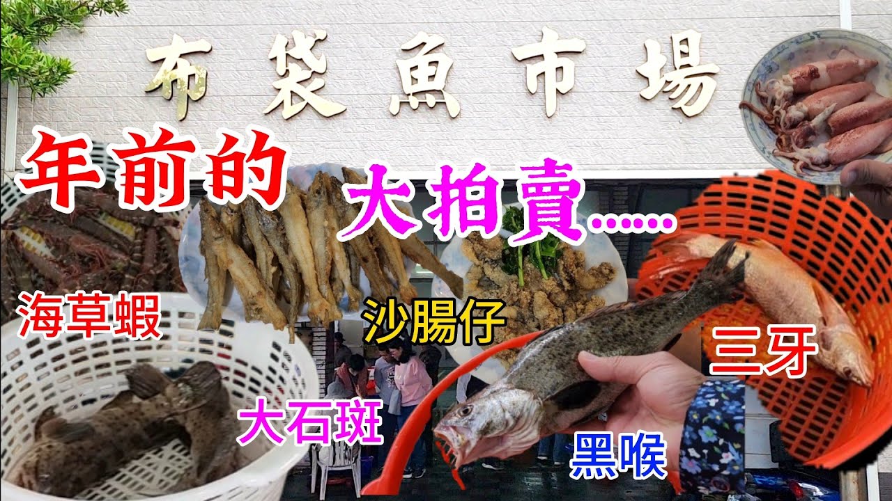 〔布袋漁港觀光魚市場〕年前布袋漁港拍賣裡大草蝦、大石斑、大魟魚、大紅蝦、怎麼都那麼貴！這麼多人來搶拍賣，拍賣後有比較便宜嗎？／草蝦／紅蝦／石斑／三牙／魟魚／黑鯛／午仔魚／皇帝魚／台語／