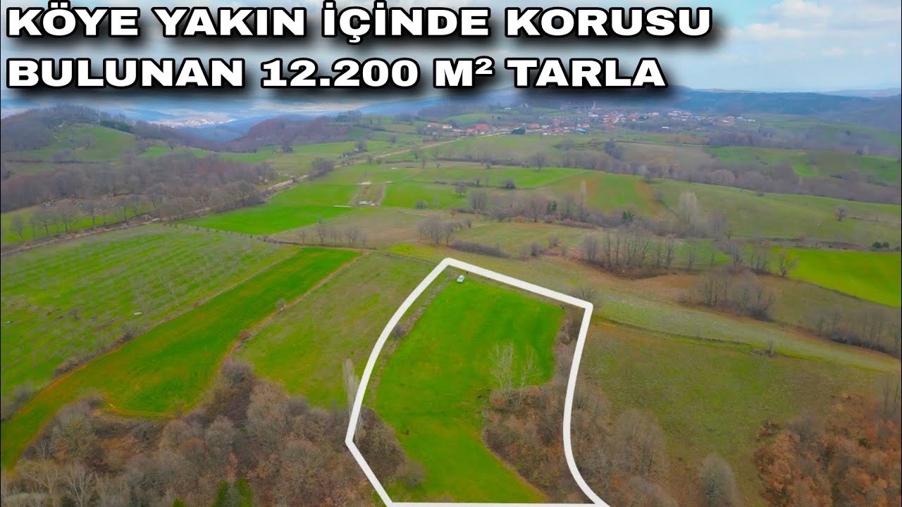 2004- KÖYE YAKIN KONUMDA İÇİNDE KORUSU BULUNAN 12.200 M² TARLA