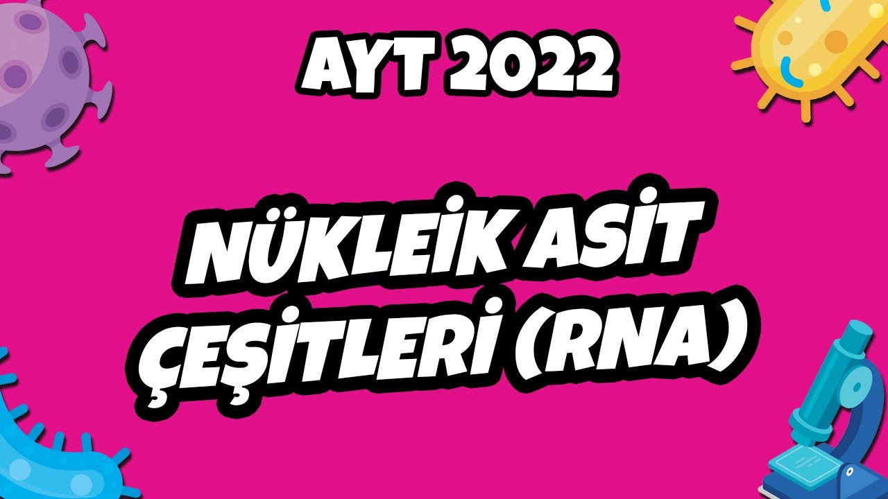 AYT Biyoloji - Nükleik Asit Çeşitleri (RNA) | AYT Biyoloji 2022 #hedefekoş