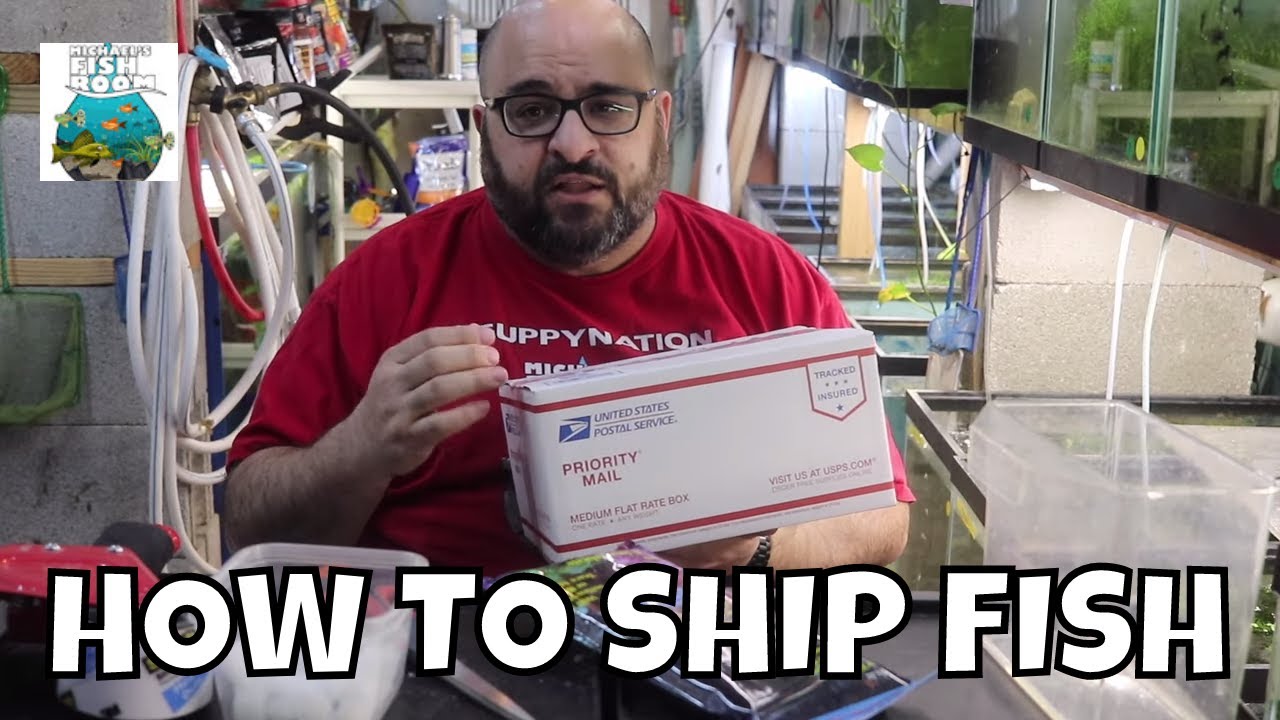 How to Ship Fish The Right Way