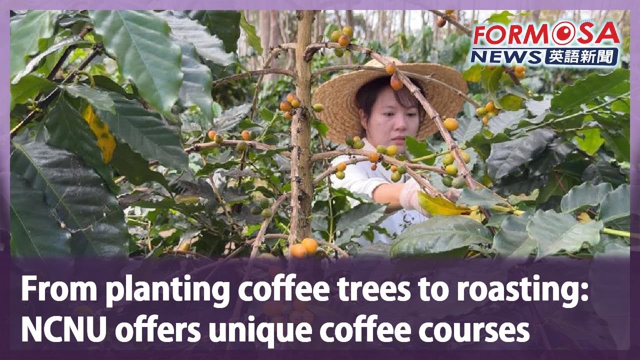 From planting coffee trees to roasting:  NCNU offers unique coffee courses｜Taiwan News