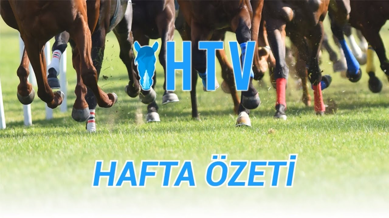 Türkiye At Yarışları 10 Şubat - 16 Şubat 2025 Hafta Özeti