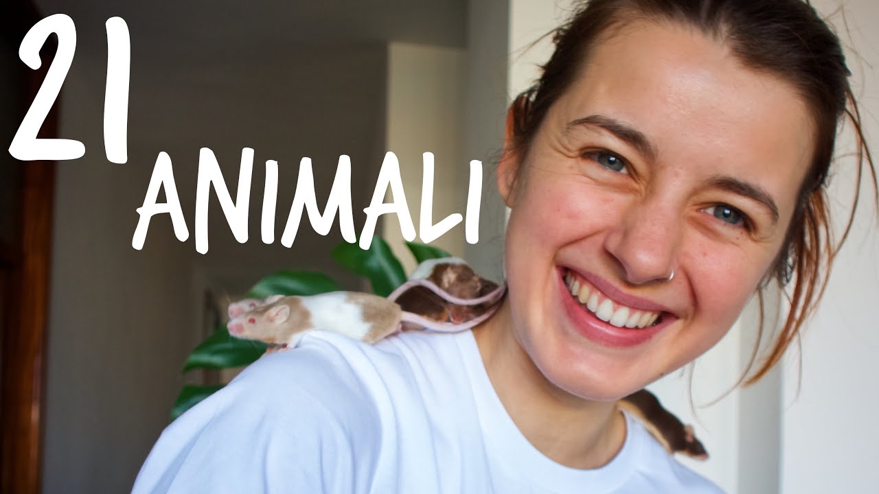 21 ANIMALI🐶🐌🐀La mia ROUTINE