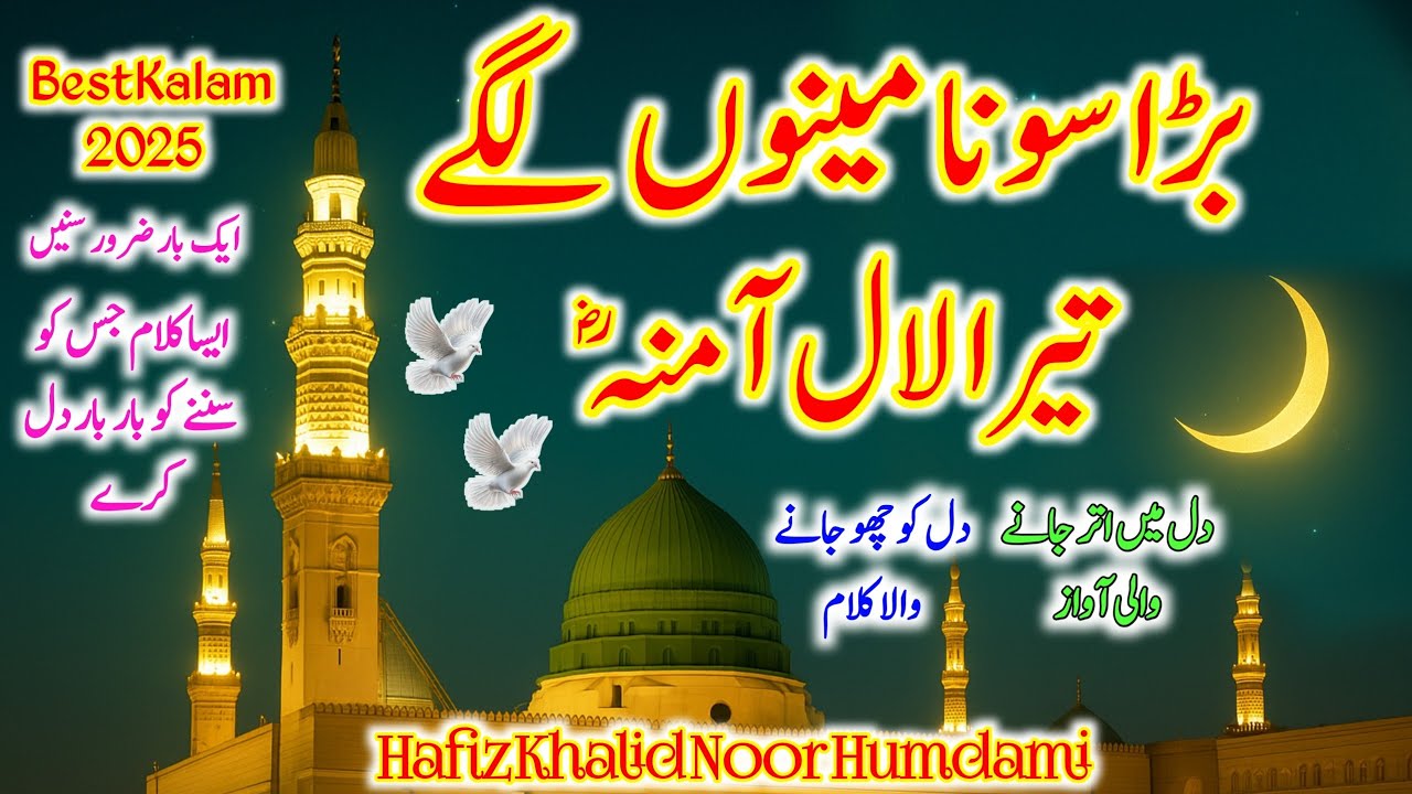 Bara Sona Meno Lagy Tera Lal Amina | Hafiz Khalid Noor Hamdmi | New Viral Naat 2025
