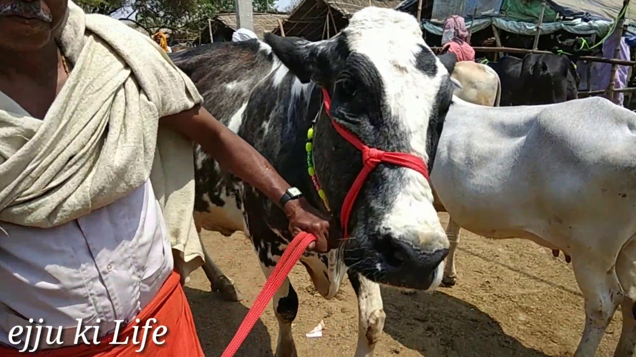 Bihar Top Mandi chausa Buxar bihar part2