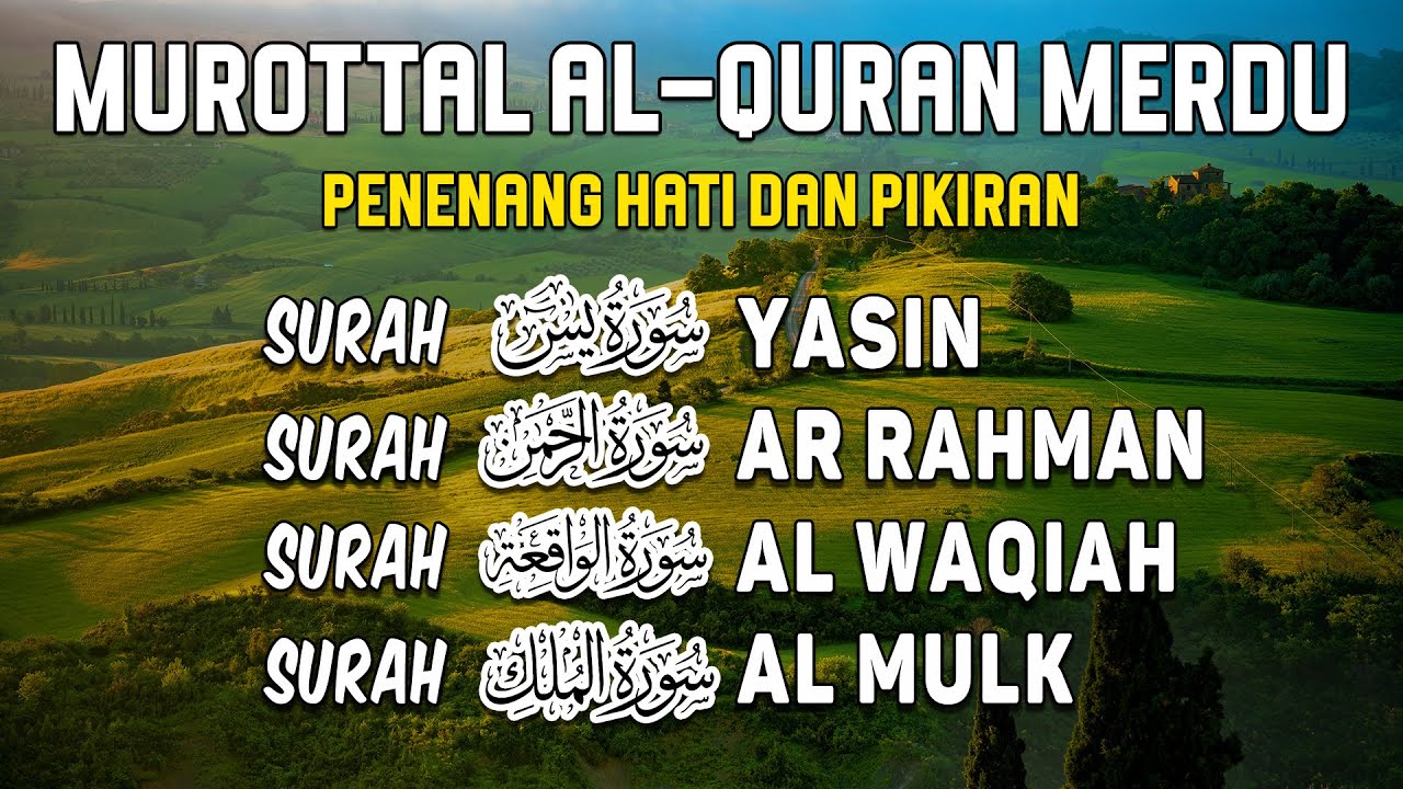 Bacaan Al Quran Merdu | Surah Yasin, Ar Rahman, Al Waqiah, Al Mulk I Alaa Yasser