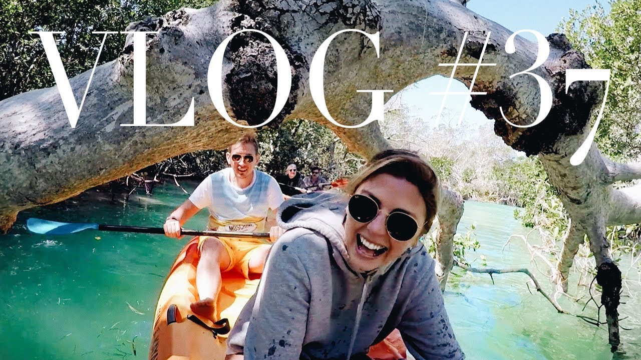 Florida Road Trip | Gators, Air Boats & Kayaking In The Mangroves