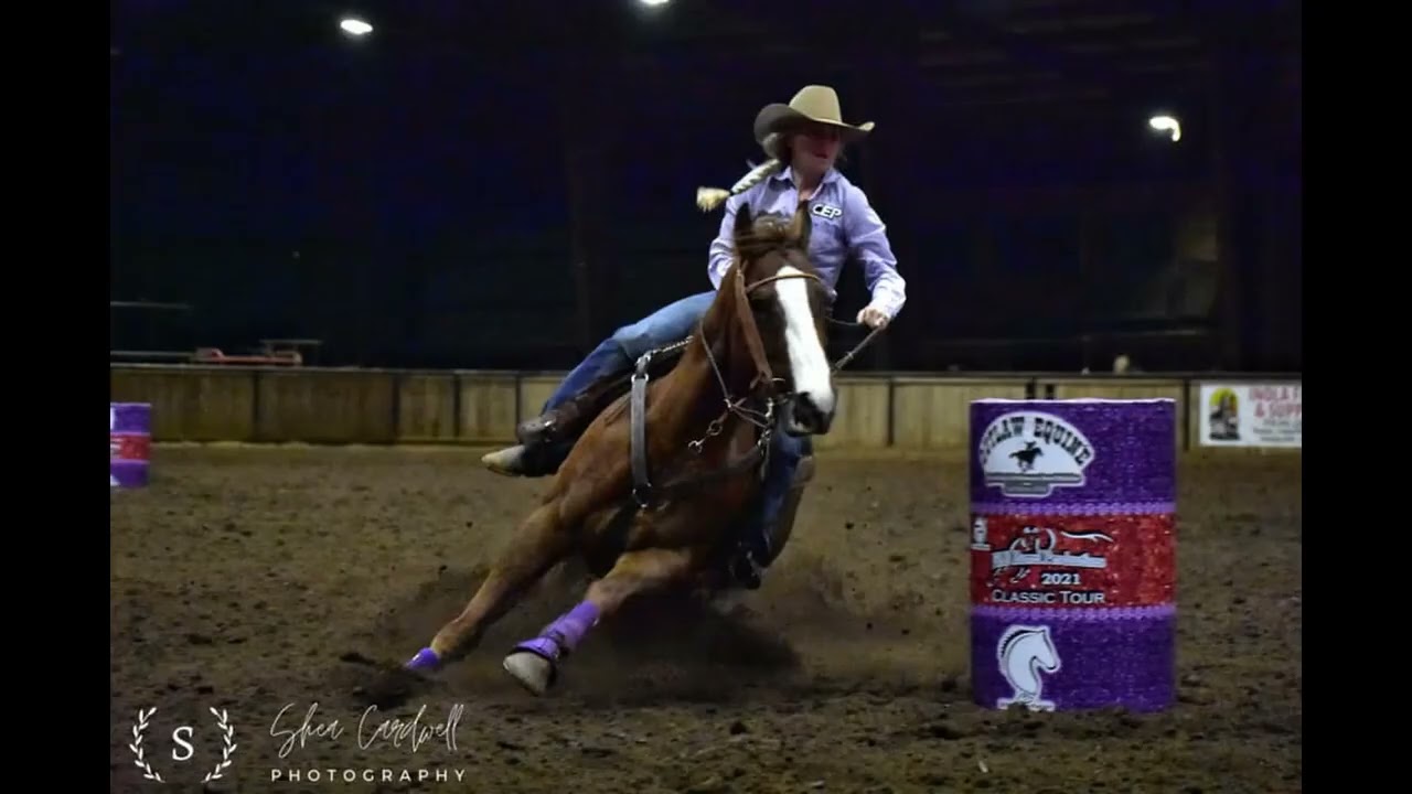 American Qual, Super Show Top 5 of 1794 & WPRA winner Free runner 2016 15.2H geld