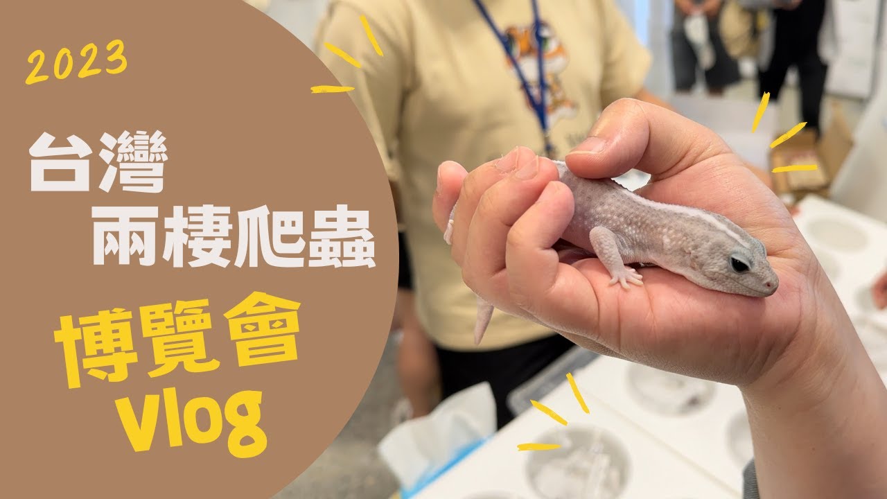 2023 台灣兩棲爬蟲博覽會 Vlog @ 圓山花博爭豔館｜豹紋守宮｜瘤尾守宮｜肥尾守宮｜馬島日守宮｜角蛙｜iPhone 14 Pro｜4K Dolby Vision HDR