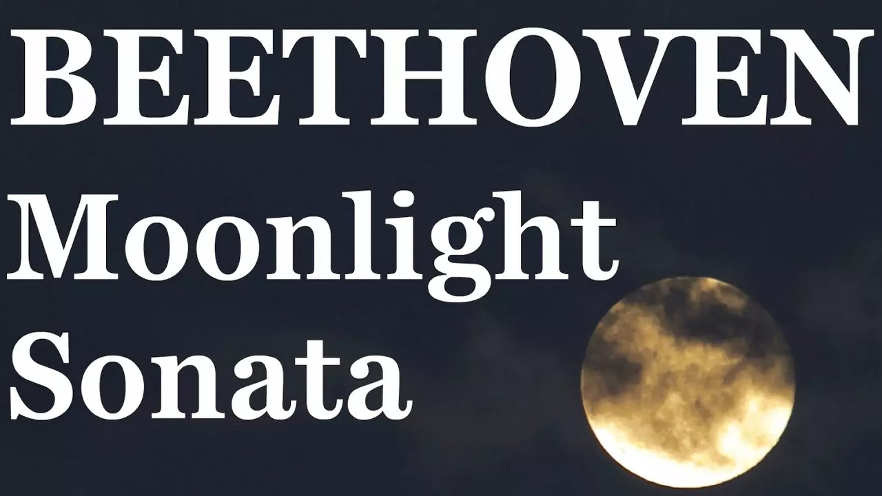 Piano Lesson: Part 1  Moonlight Sonata for Beginner Piano