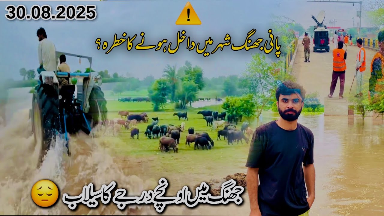 Chenab River Flood Risk 2025 |jhang flood situation  update 😓