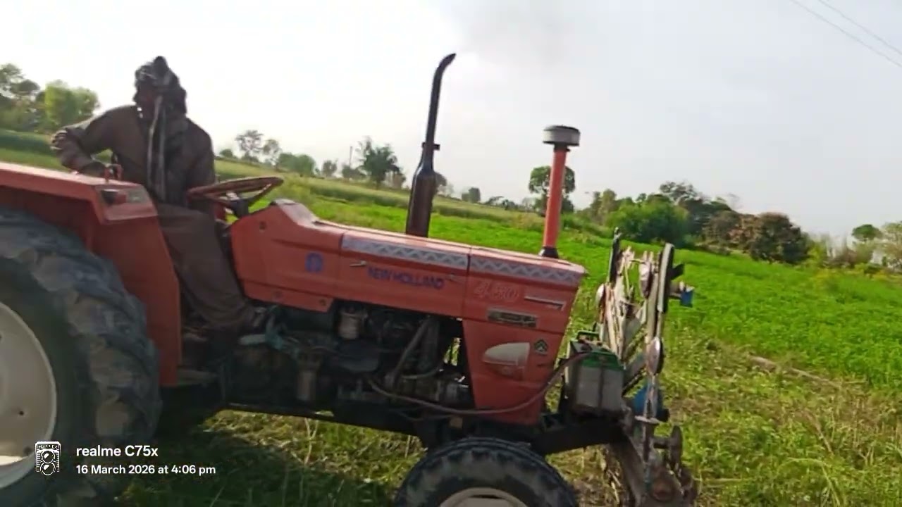 Thresher mein phas gayi sarson? 😱 Non-stop working in fields | Ep 08​