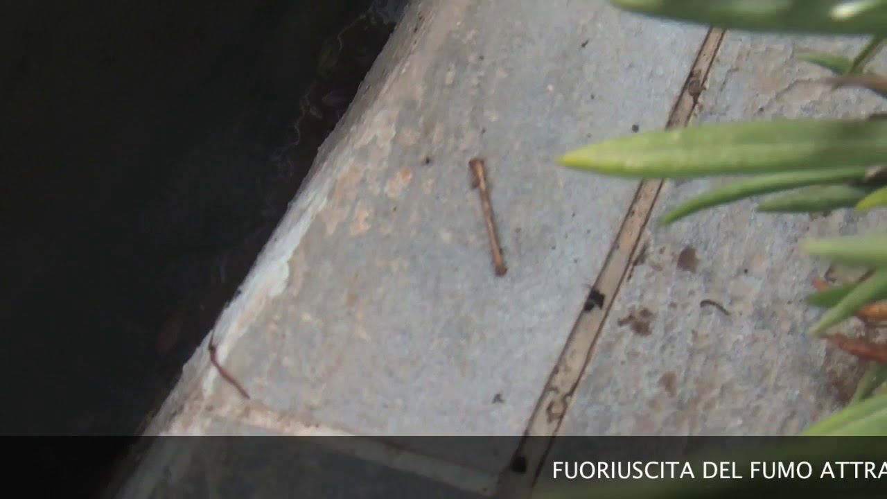 Ricerca infiltrazioni d'acqua con termografia e fumogeno