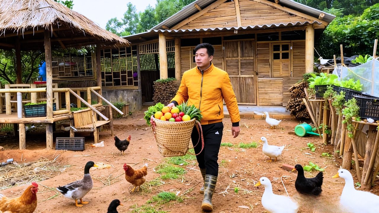 Building a house in the mountains and growing fresh, delicious vegetables | Farming and cooking