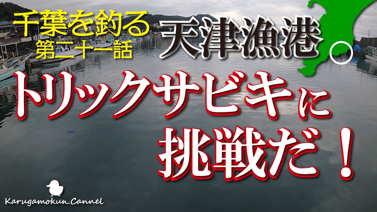 【千葉を釣る第二十一話★4月下旬】天津港でトリックサビキに挑戦！効果は抜群だ【おかっぱり】